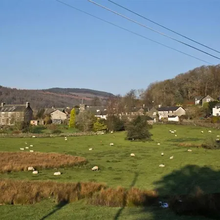 Cherry Tree At Satterthwaite *